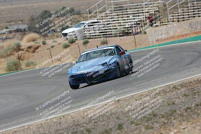 media/May-03-2025-Lucky Dog Racing (Sat) [[206de64b9d]]/Turn 4 B (1150am-130pm)/